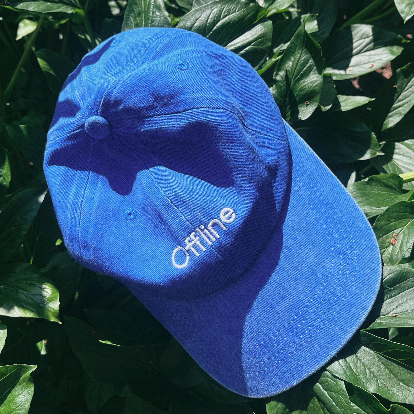 I&P Cap (Offline)