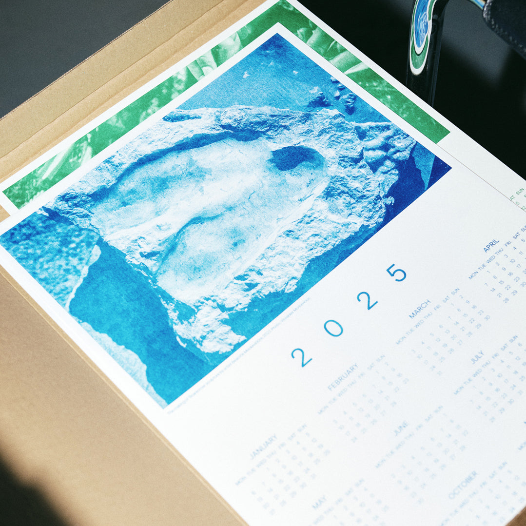 AKEE x I&P Calendar 2025