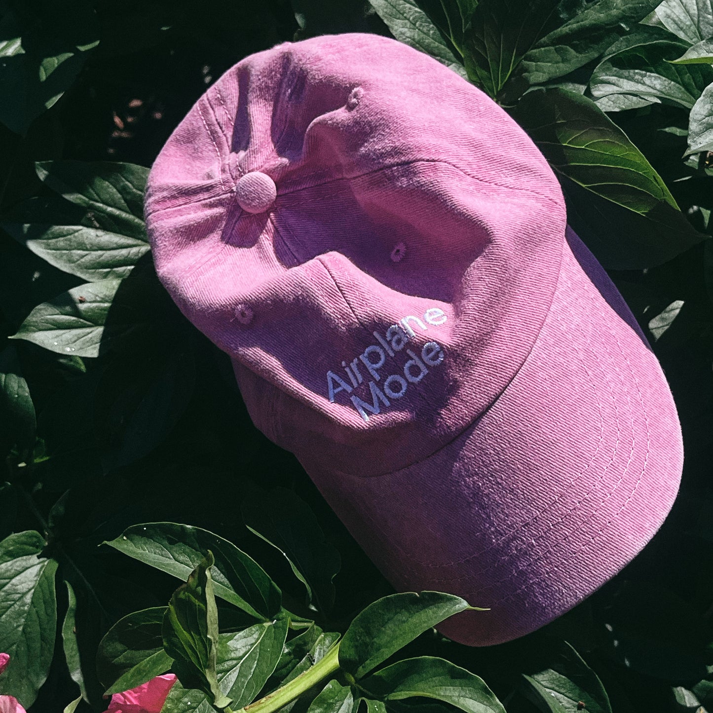 I&P Cap (Airplane Mode)